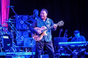 Studi: Musik jazz bisa meningkatkan kualitas susu ternak, wah keren