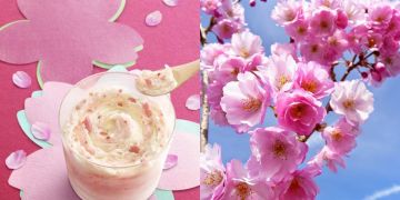 Ada es krim baru rasa bunga sakura, tertarik coba?
