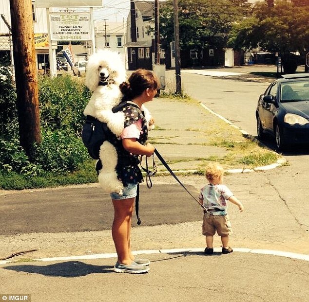 salah kaprah © 2017 salah kaprah salah kaprah © 2017 salah kaprah