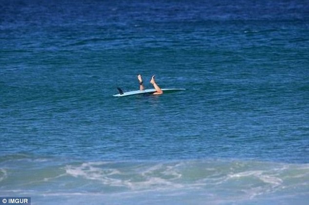 salah kaprah © 2017 salah kaprah salah kaprah © 2017 salah kaprah