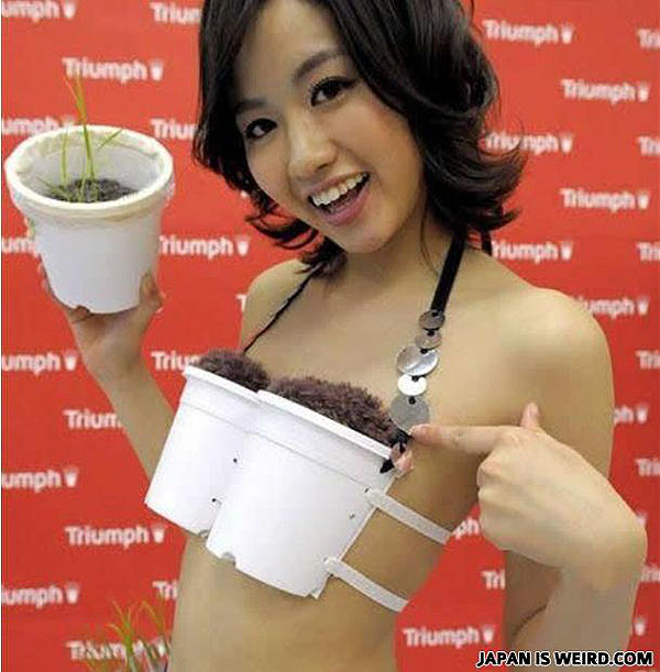 Jepang Weird © 2017 hint.com Jepang Weird © 2017 hint.com