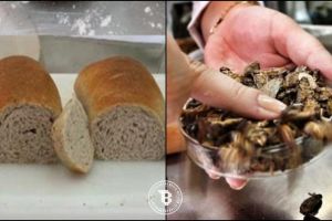 Tampilan menggugah selera, roti ini ternyata dibuat dari tepung kecoak
