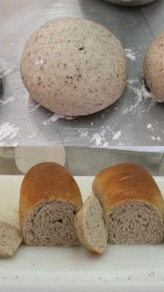 Tampilan menggugah selera, roti ini ternyata dibuat dari tepung kecoak