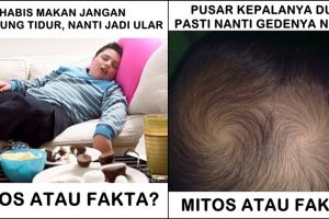 13 Meme 'mitos atau fakta' ini bukti kamu dulu sering dikibulin
