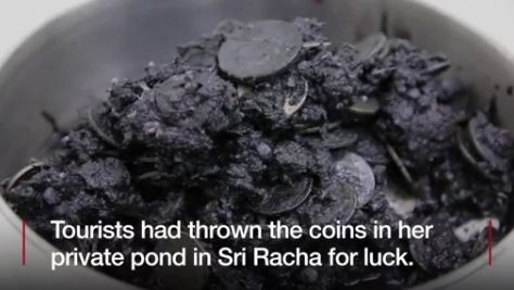 Kura-kura di Thailand ini dioperasi setelah telan 1.000 koin