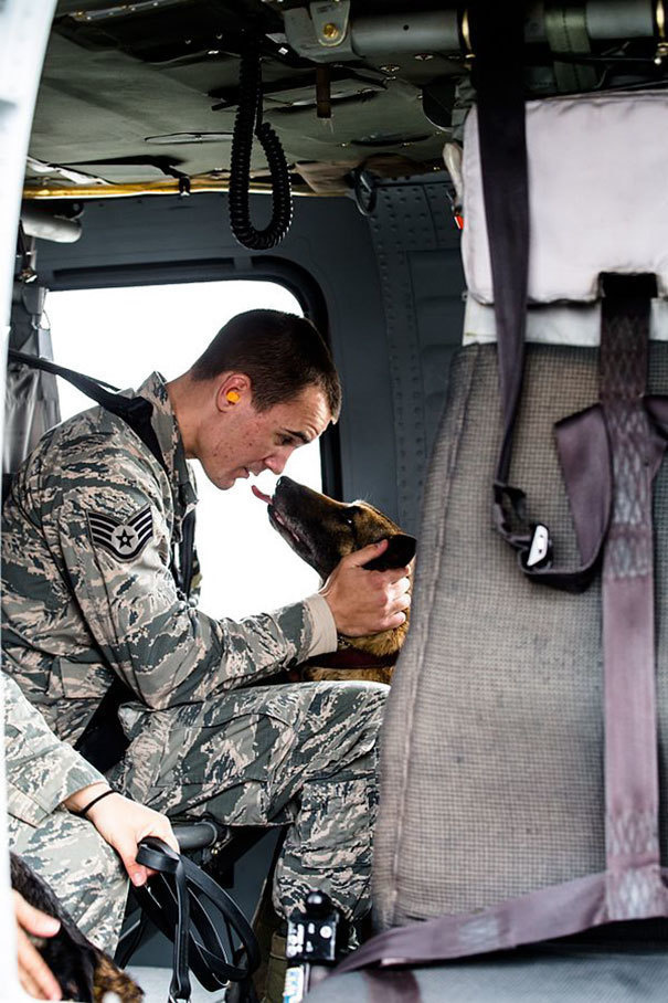 15 Momen kesetiaan anjing militer saat menjalankan tugas, hebat