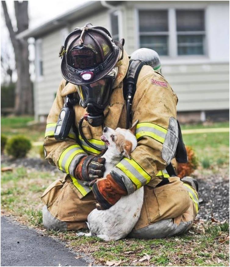 13 Potret heroik saat pemadam kebakaran selamatkan hewan 
