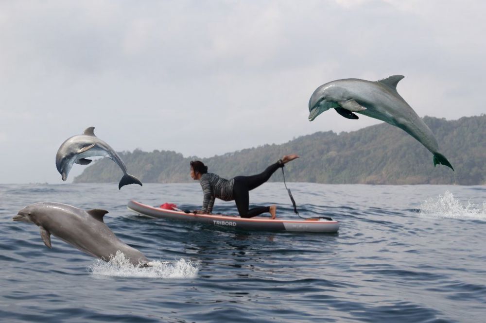 6 Foto editan kocak Bu Susi main kano di tengah laut, bikin ngakak