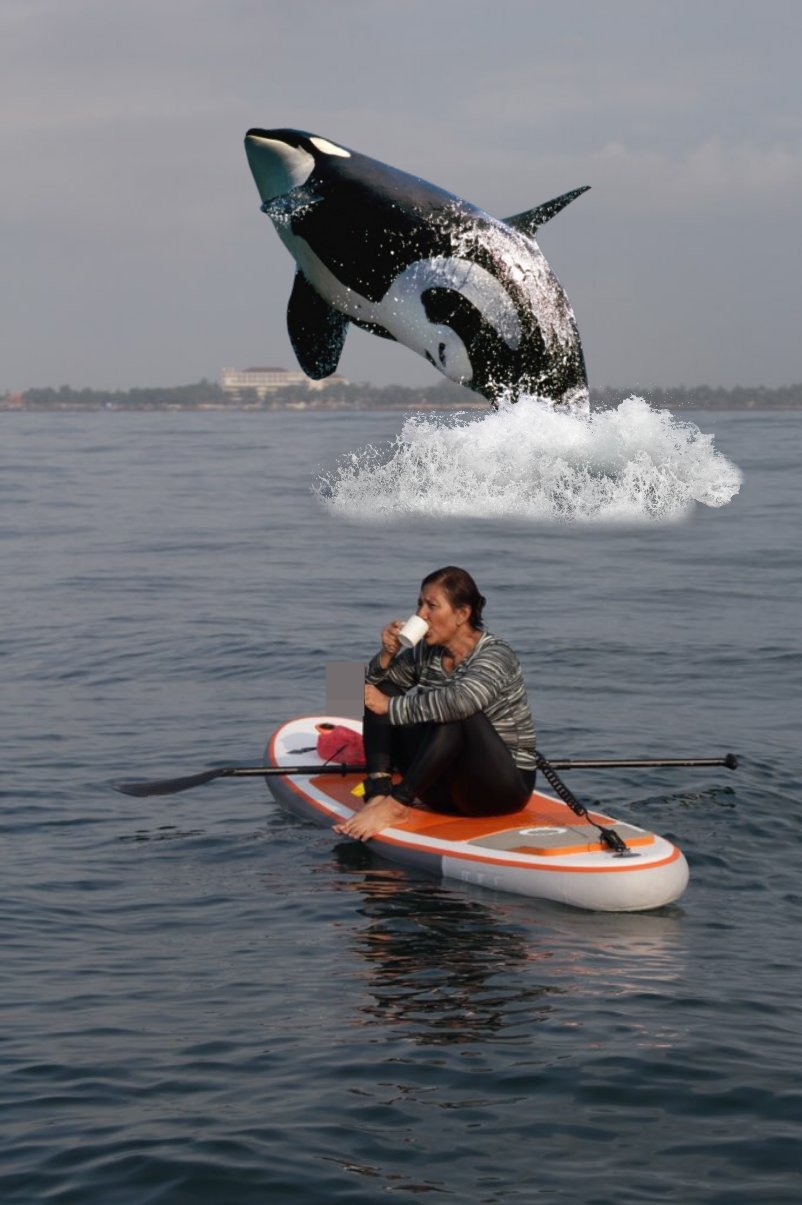 6 Foto editan kocak Bu Susi main kano di tengah laut, bikin ngakak