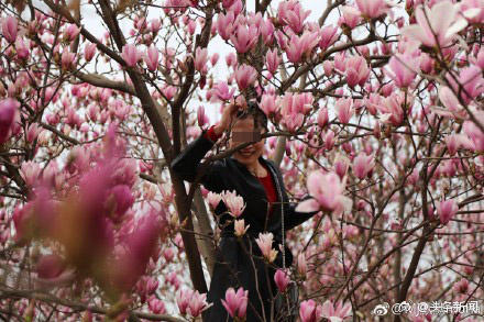 Tak cuma di Indonesia, ini 8 aksi nekat di China demi foto medsos