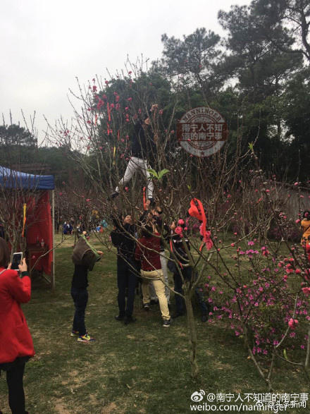 Tak cuma di Indonesia, ini 8 aksi nekat di China demi foto medsos