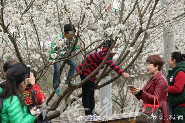 Tak cuma di Indonesia, ini 8 aksi nekat di China demi foto medsos