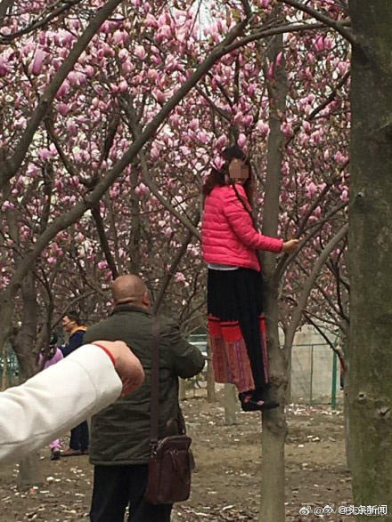 Tak cuma di Indonesia, ini 8 aksi nekat di China demi foto medsos