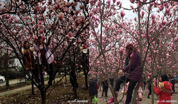 Tak cuma di Indonesia, ini 8 aksi nekat di China demi foto medsos
