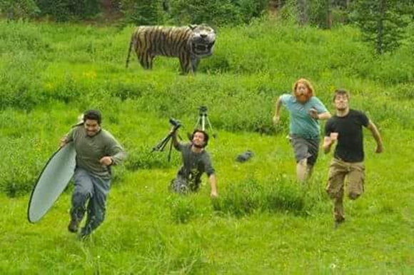 Patung harimau dirobohkan, 15 meme ini siap hibur kamu yang sedih