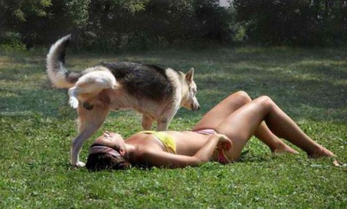 15 Foto detik-detik menegangkan sebelum diserang hewan, duh kasihan