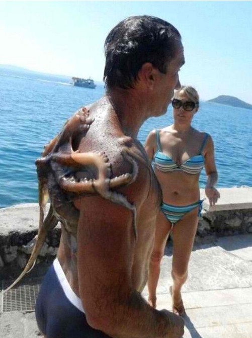 15 Foto detik-detik menegangkan sebelum diserang hewan, duh kasihan