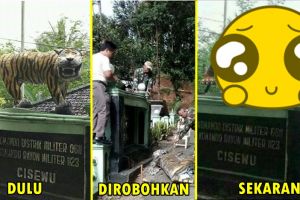 Patung harimau 'paling bahagia' diganti, ini penampakannya sekarang