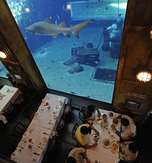 9 Restoran bawah laut ini bikin nggak fokus makan saking indahnya