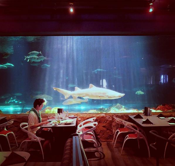 9 Restoran bawah laut ini bikin nggak fokus makan saking indahnya