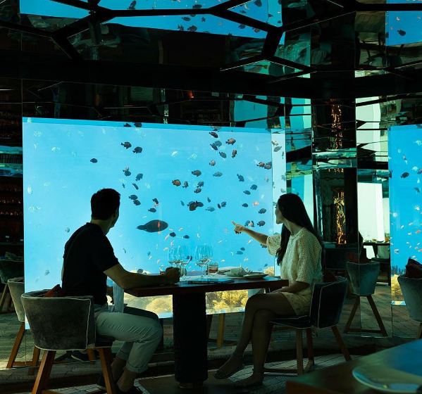 9 Restoran bawah laut ini bikin nggak fokus makan saking indahnya