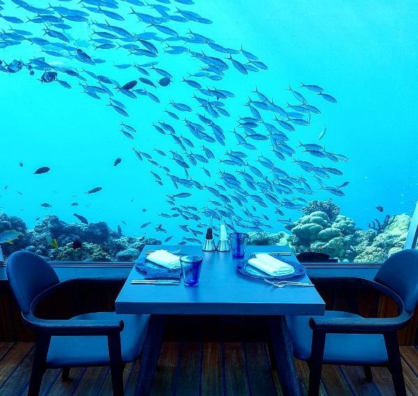 9 Restoran bawah laut ini bikin nggak fokus makan saking indahnya