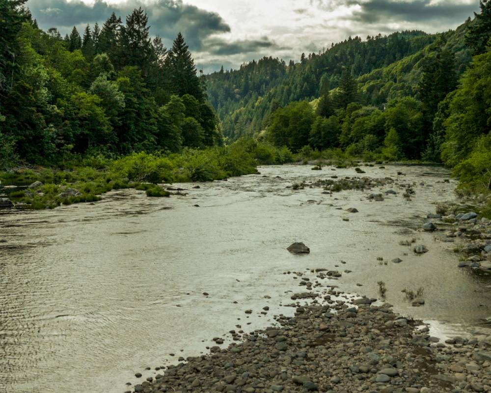 Kota ini dijual seharga Rp 50 miliar, alasannya bikin tercengang