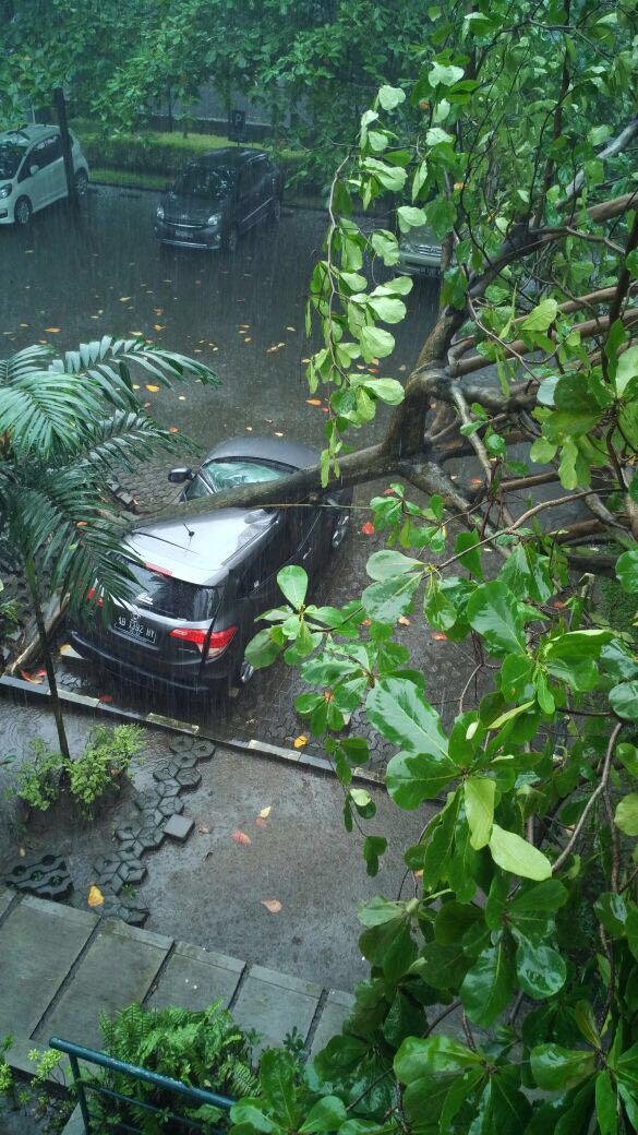 Hujan deras disertai angin, sebuah mobil di kampus UGM tertimpa pohon