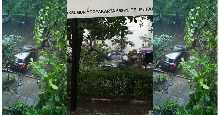 Hujan deras disertai angin, sebuah mobil di kampus UGM tertimpa pohon