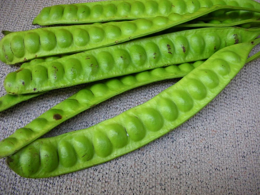 6 Makanan ini banyak disukai sekaligus dibenci, wah kok bisa ya?