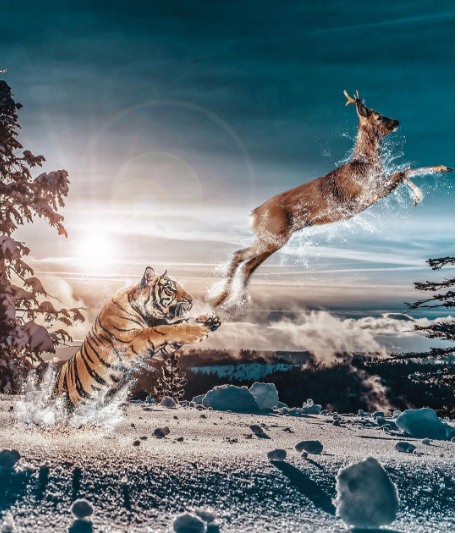 15 Foto pemandangan menakjubkan kombinasi dari 2 alam, imajinatif abis