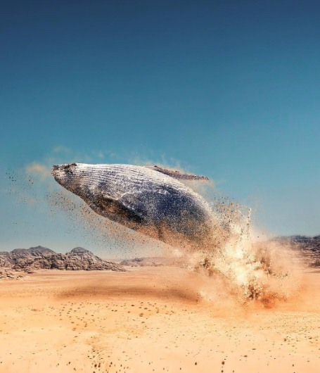 15 Foto pemandangan menakjubkan kombinasi dari 2 alam, imajinatif abis