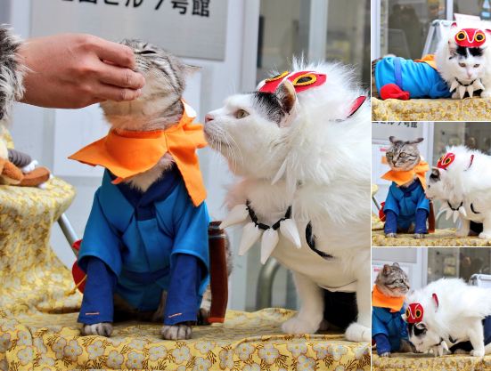 Berambut pirang, 10 cosplayer festival Den-Den Town ini bikin kepincut