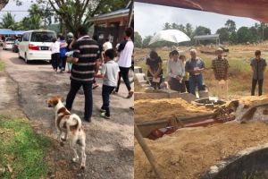 Kisah kesetiaan anjing terhadap tuannya yang meninggal ini bikin haru