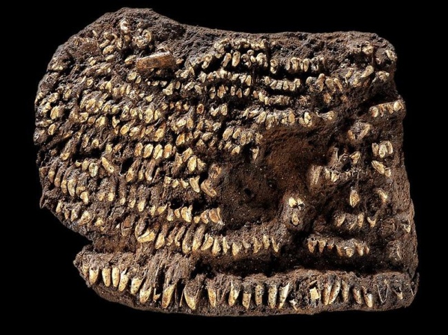 Begini penampakan barang-barang jadul, paling tua usianya 40.000 tahun