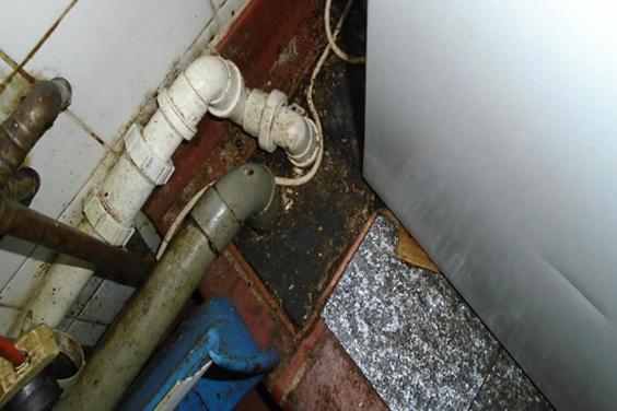 Ada kecoak di sajian kari domba, restoran ini digugat Rp 134 juta