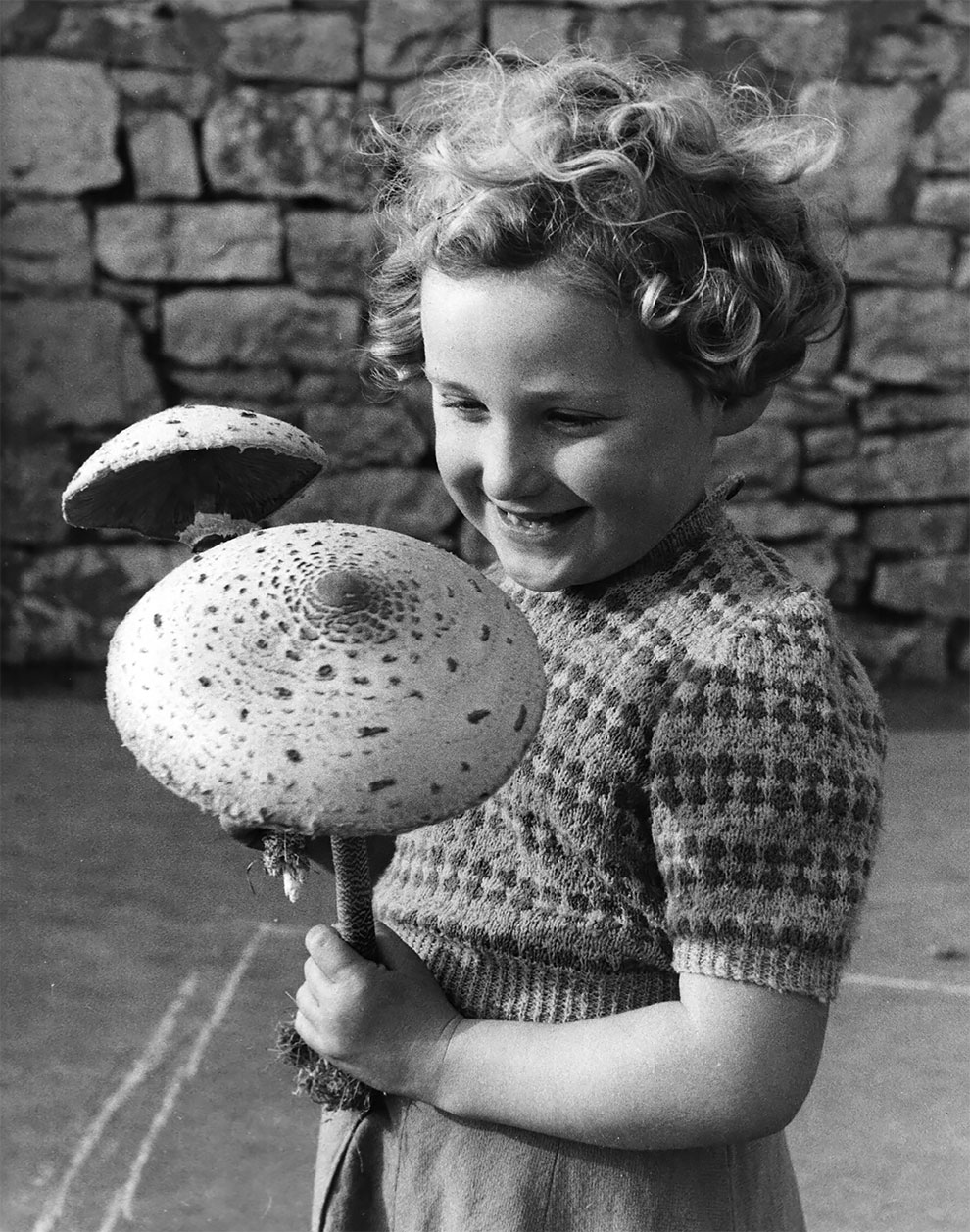 15 Foto jadul tanaman berukuran raksasa ini bikin melongo