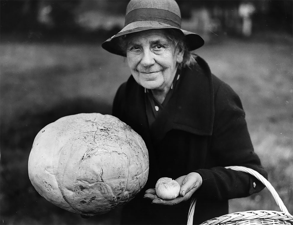 15 Foto jadul tanaman berukuran raksasa ini bikin melongo