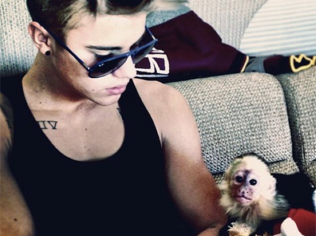 Gara-gara hewan peliharaan, 6 seleb ini tuai kritikan