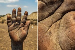 13 Foto telapak tangan pekerja ini bukti kerasnya membanting tulang