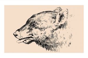 Kamu bisa menemukan wajah lelaki pada gambar ini? Susah-susah gampang