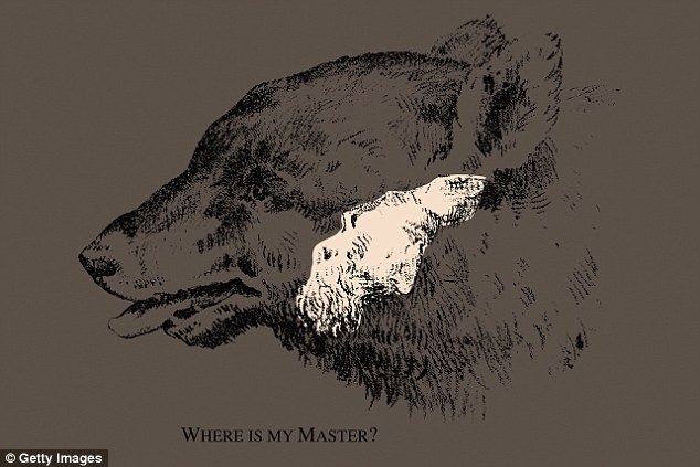 Kamu bisa menemukan wajah lelaki pada gambar ini? Susah-susah gampang