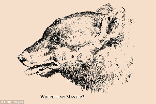 Kamu bisa menemukan wajah lelaki pada gambar ini? Susah-susah gampang