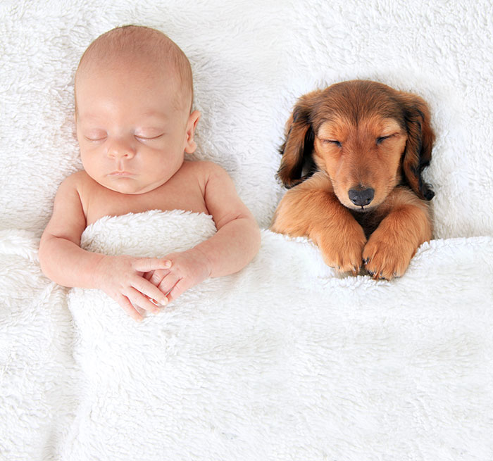 18 Potret menggemaskan hewan & bayi saat tidur bareng, nyenyak banget