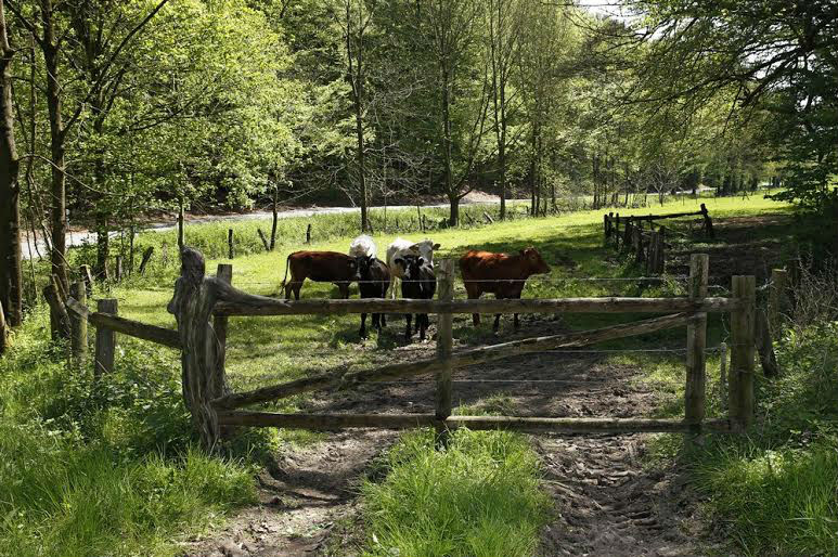 15 Karya body painting ini menipu mata, kamu bisa temukan orangnya?