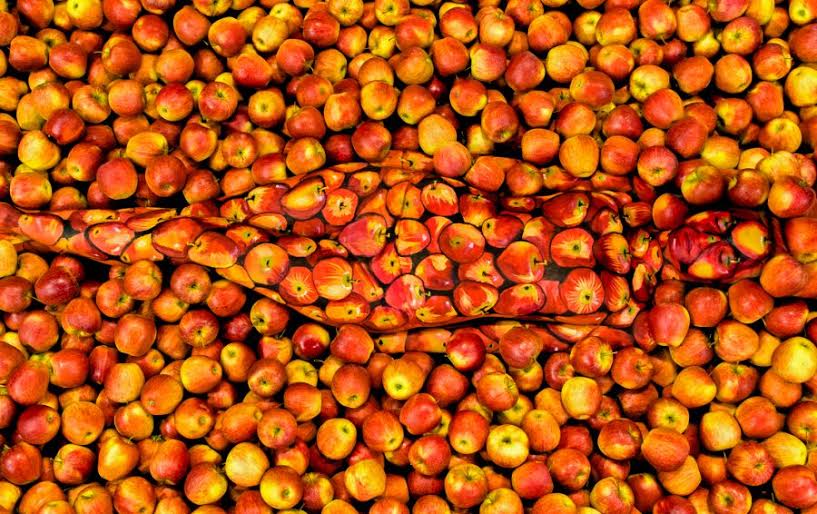 15 Karya body painting ini menipu mata, kamu bisa temukan orangnya?