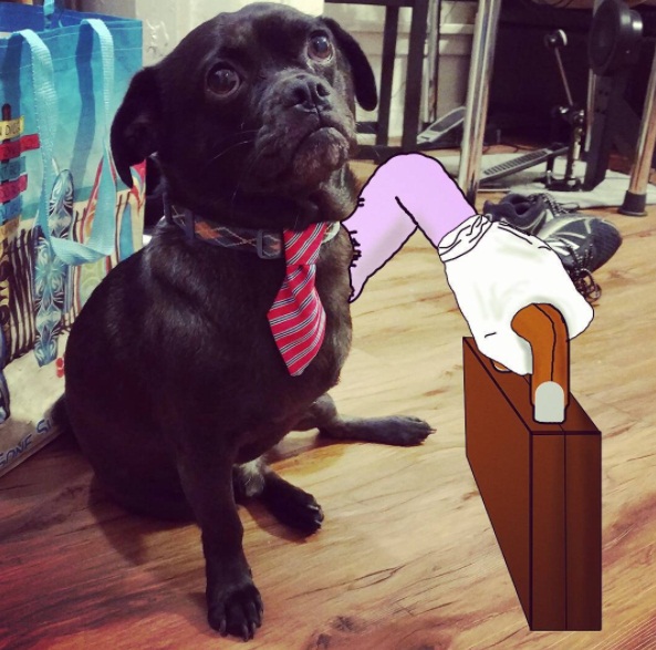 Bentuk kasih sayang pemilik anjing berkaki tiga ini bikin haru