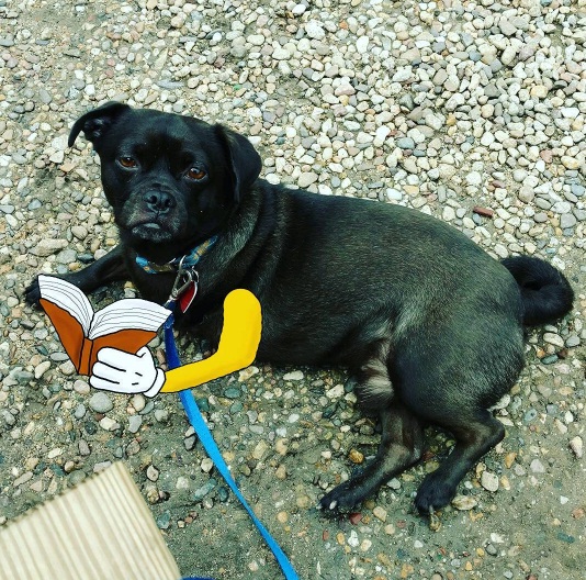 Bentuk kasih sayang pemilik anjing berkaki tiga ini bikin haru