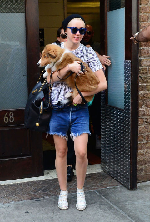 10 Gaya seleb saat keluar sama hewan peliharaan, tetep stylish dong