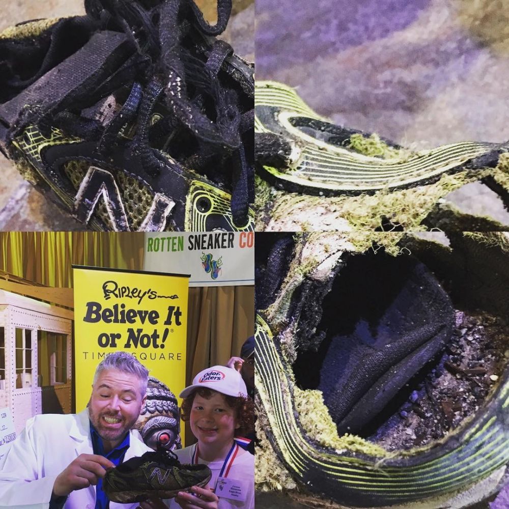 Ini wujud sepatu yang memenangi kontes sepatu terbau, jijik deh